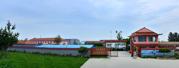 1665643864462003.jpg 01.jpg